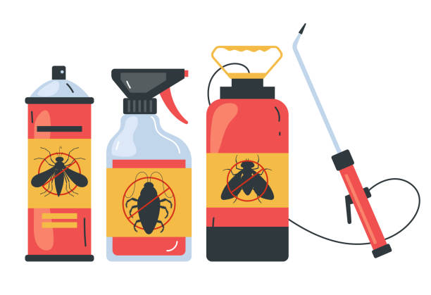 Insect Control in Oceanside, CA