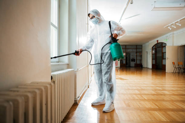 Best Pest Control Near Me in Oceanside, CA