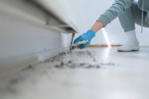 Best Pest Prevention Services  in Oceanside, CA